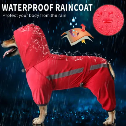 dog raincoat