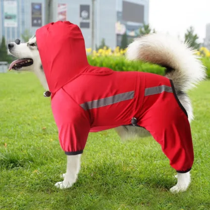 dog hoodie