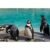 3* & 4* London City Hotels: 1-2 Night Break for Two with Choice of 30 Top Attractions, Tours or West End Shows – Summer Holiday Availability! | Wowcher