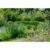 Luxury Lakeside Glamping For Two With Bottle Of Prosecco On Arrival – Near Delamere Forest | Wowcher